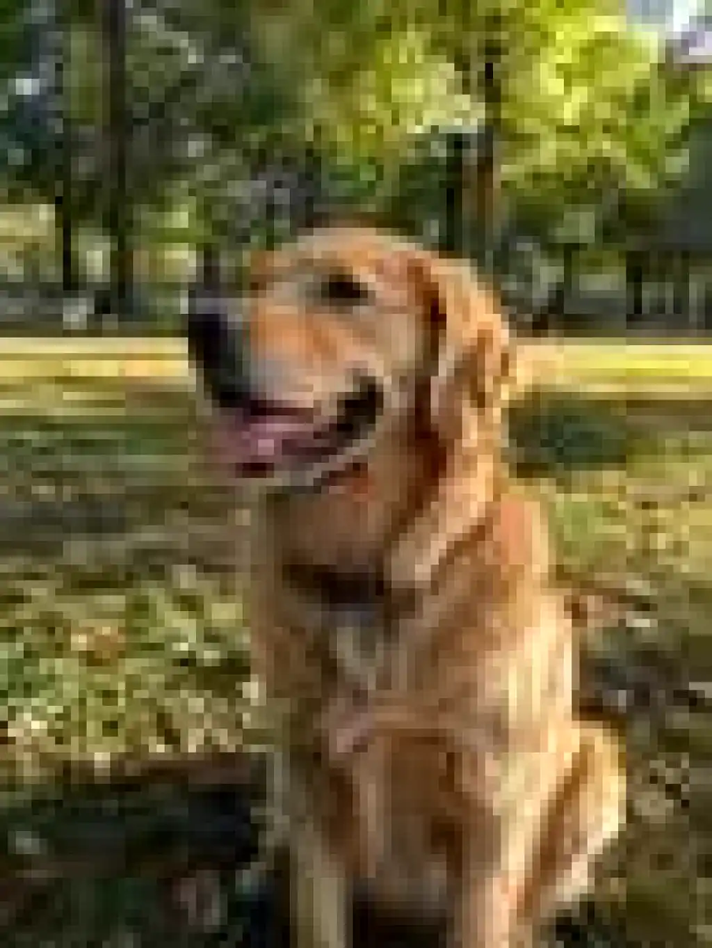 first image