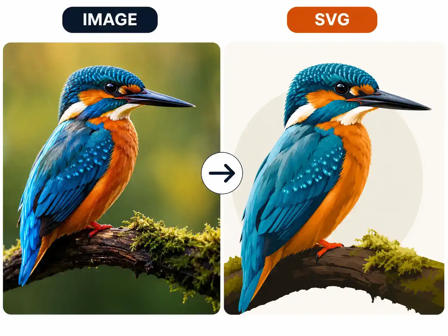 Image to SVG converter case showing a raster image transformed into an editable SVG vector file